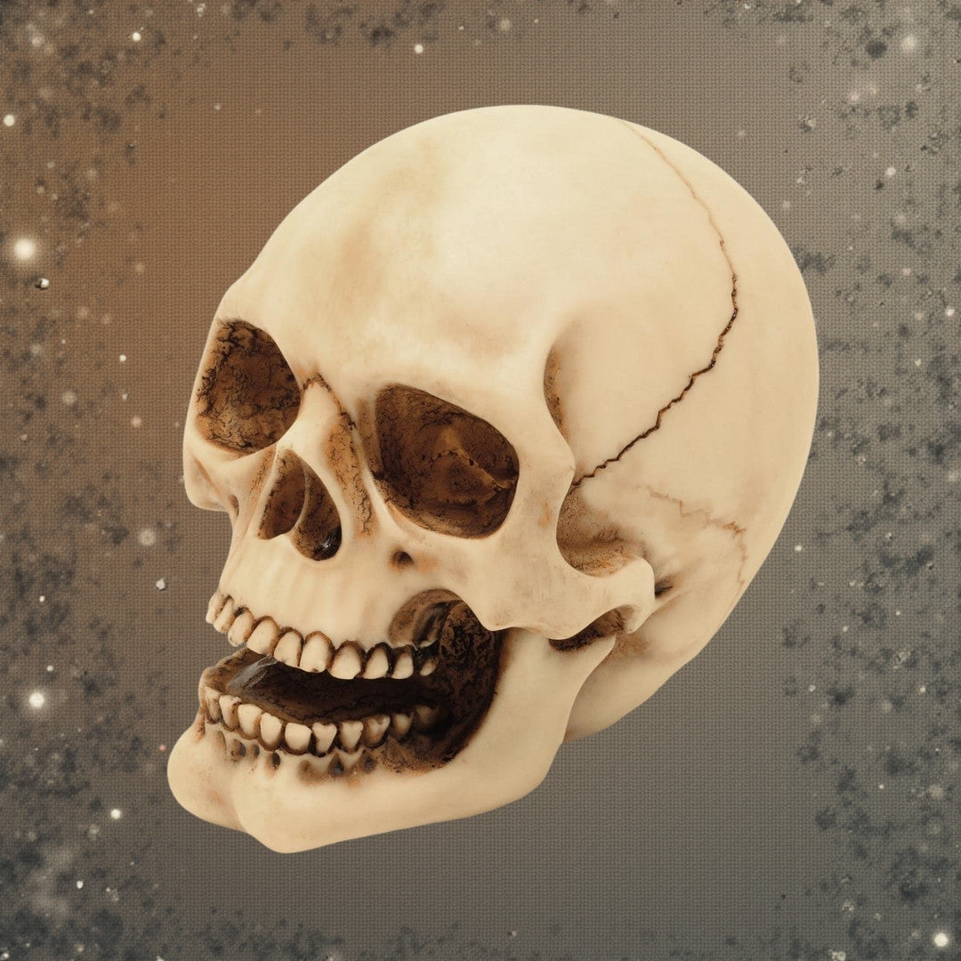 Διακοσμητικό ειδώλιο κρανίου 10 εκ. με δυνατότητα χάραξης – χειροποίητα ζωγραφισμένη διακόσμηση από πολυρησίνη, δώρο για λάτρεις του γοτθικού και σκοτεινού στυλ