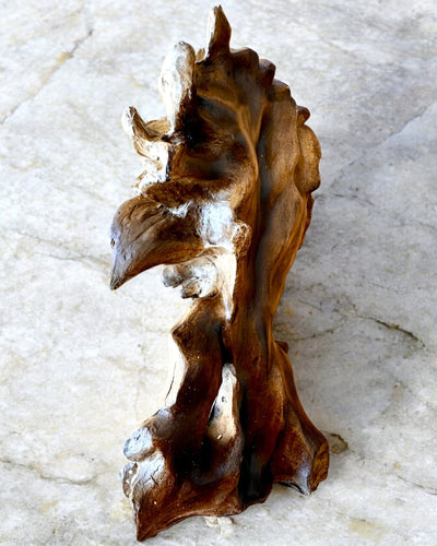 Λιονταρίσια Τόλμη Φιγούρα από Ρητίνη, 28 cm ύψος, με επιλογή χάραξης για δώρο