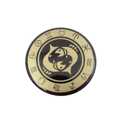 Magnes Ryby znak zodiaku