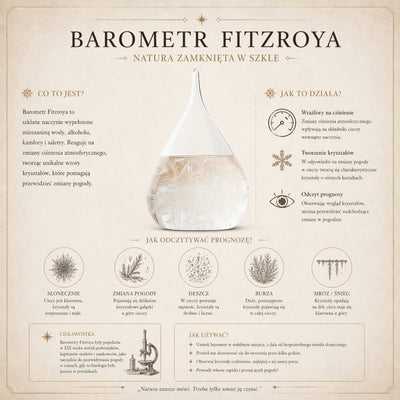 Barometr Burzowy Fitzroya Globus - Dekoracja Biurka Gadżet - BAW11003