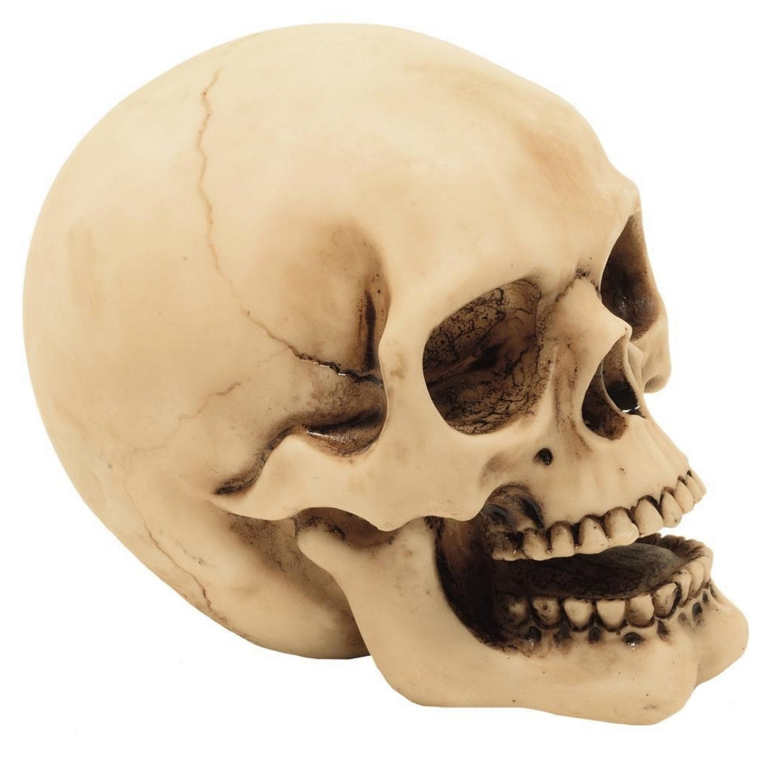Figurka Czaszka 10cm z Możliwością Graweru - Ręcznie Malowana Dekoracja z Polyresinu na Prezent dla Miłośników Stylu Gothic i Dark