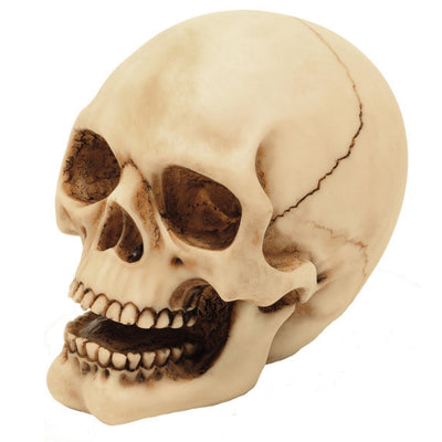 Figurka Czaszka 10cm z Możliwością Graweru - Ręcznie Malowana Dekoracja z Polyresinu na Prezent dla Miłośników Stylu Gothic i Dark